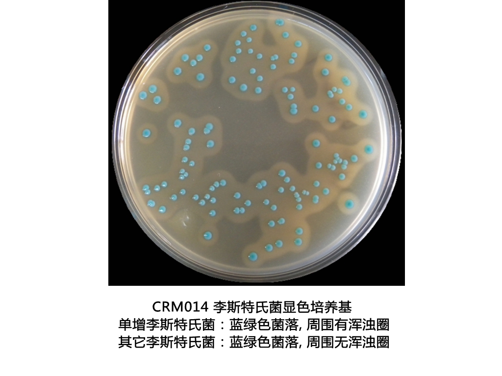 李斯特氏菌顯色培養(yǎng)基生物圖冊