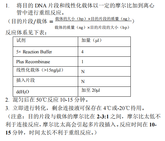 B 目的片段與載體的重組