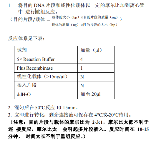 B 目的片段與載體的重組