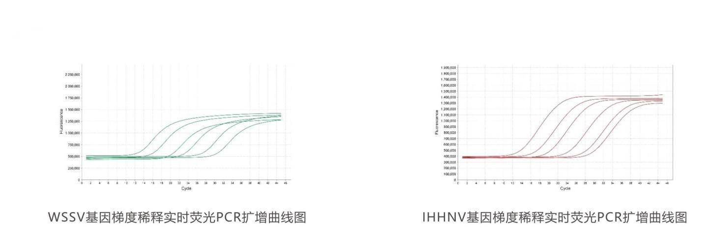 實(shí)時(shí)熒光PCR檢測(cè)試劑盒結(jié)果判讀