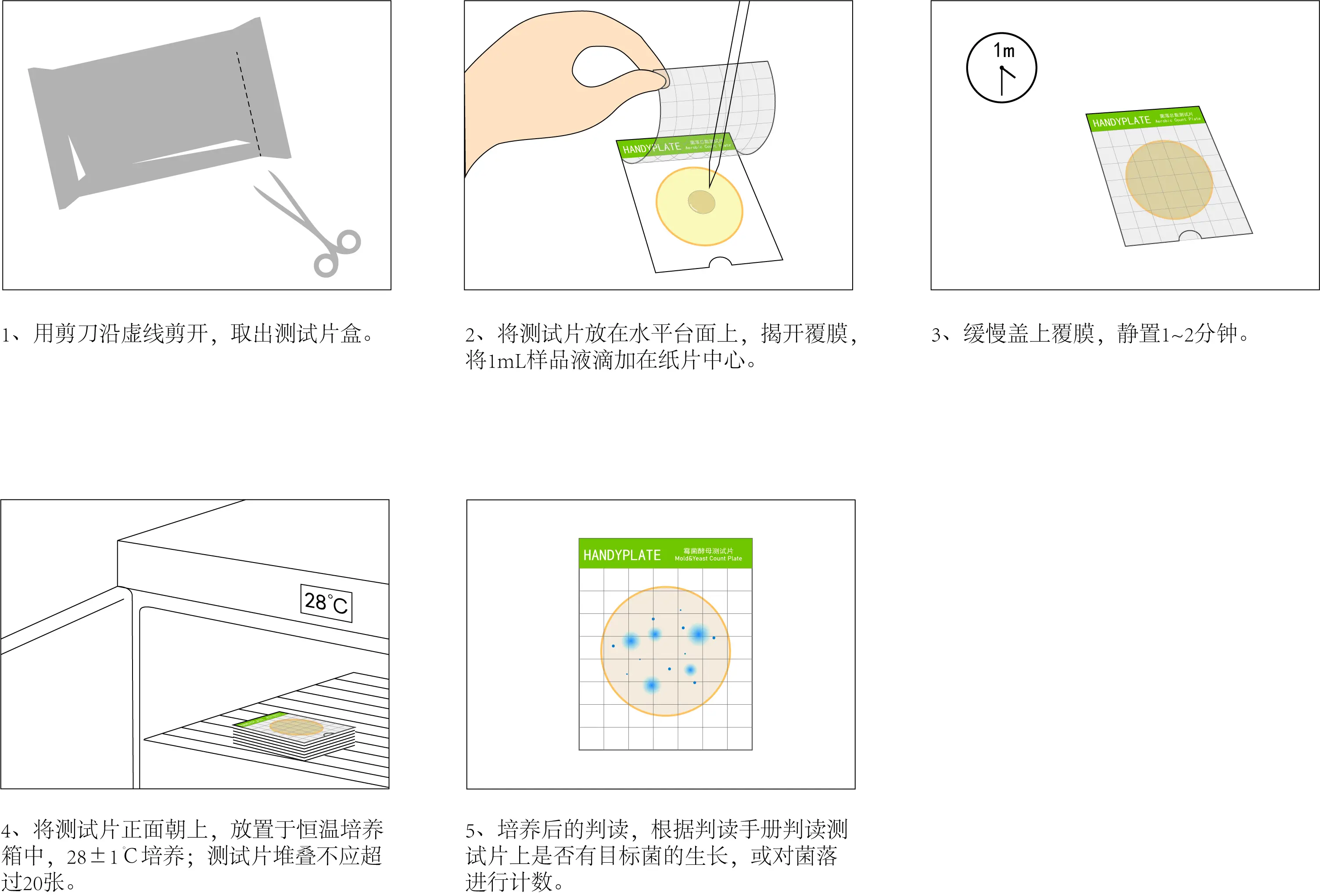 HandyPate®霉菌酵母測(cè)試片使用操作教程